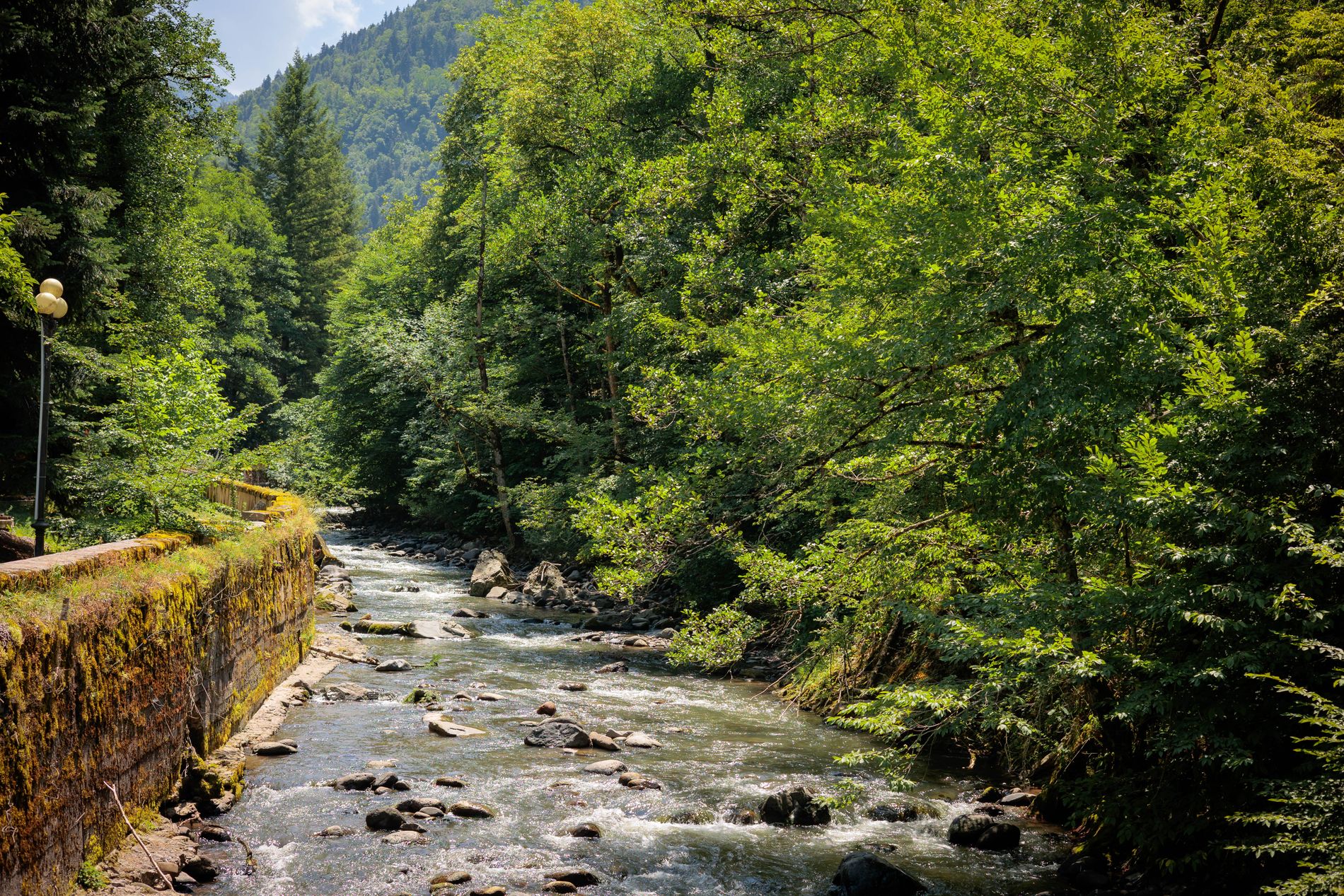 River flowing through Borjomi Mineral Park — peaceful nature walk along clean water, pine trees and mineral springs in central Georgia