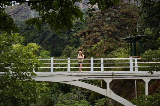 Wooden footbridge crossing a stream in the Tbilisi Botanical Garden — surrounded by lush greenery and peaceful walking paths