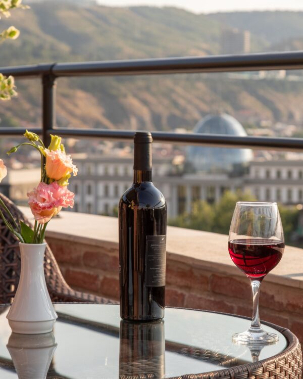 Scenic city view from Bellevue’s terrace — with the Presidential Palace dome rising in the background